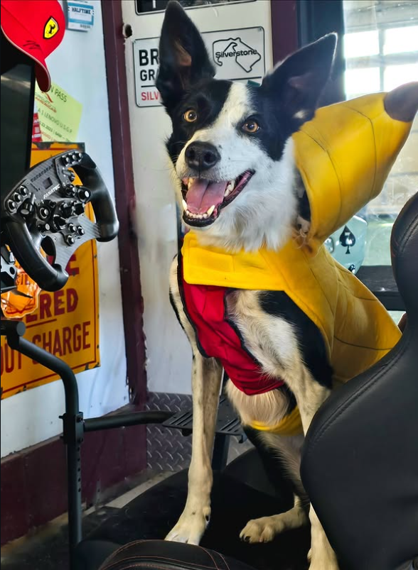 Lecaine dressed up as the viral Banana Leclerc meme