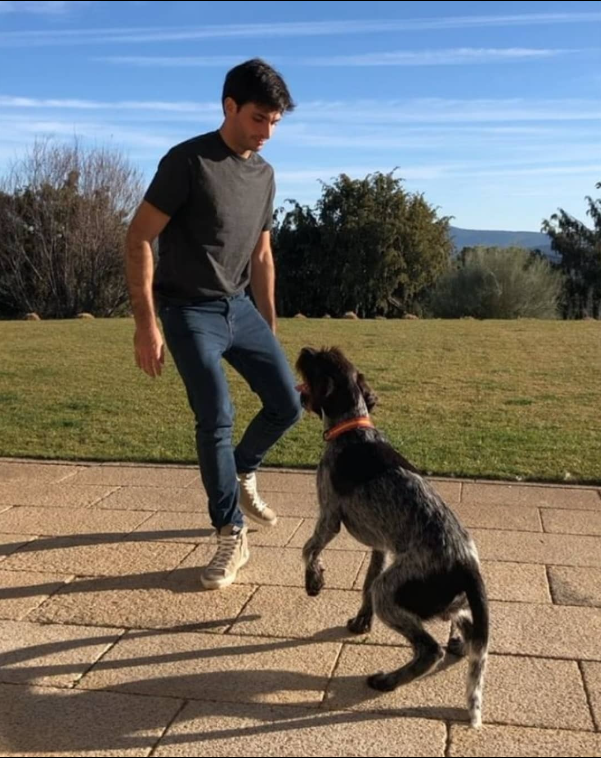 Carlos Sainz playing with his dog Pinon Jr